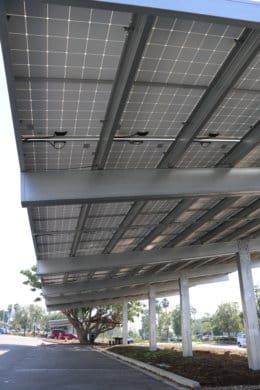 Underneath solar panels in a parking lot