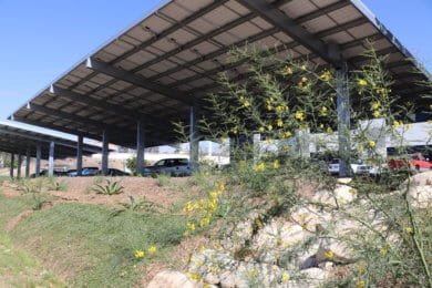 Solar panels in a parking lot