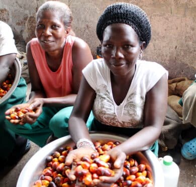 Women workers holding palm kernels