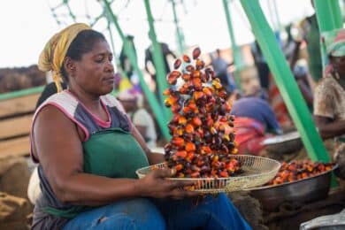Worker processing palm kernels