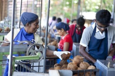 Workers processing coconut at Serendipol