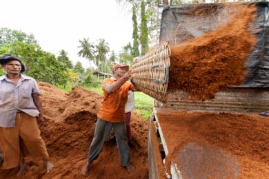 Workers at Serendipol