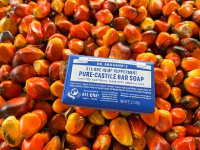 Palm kernels and All-One Magic Soap Bar