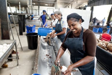 Serendipol workers processing coconut