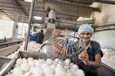 Serendipol worker processing coconut